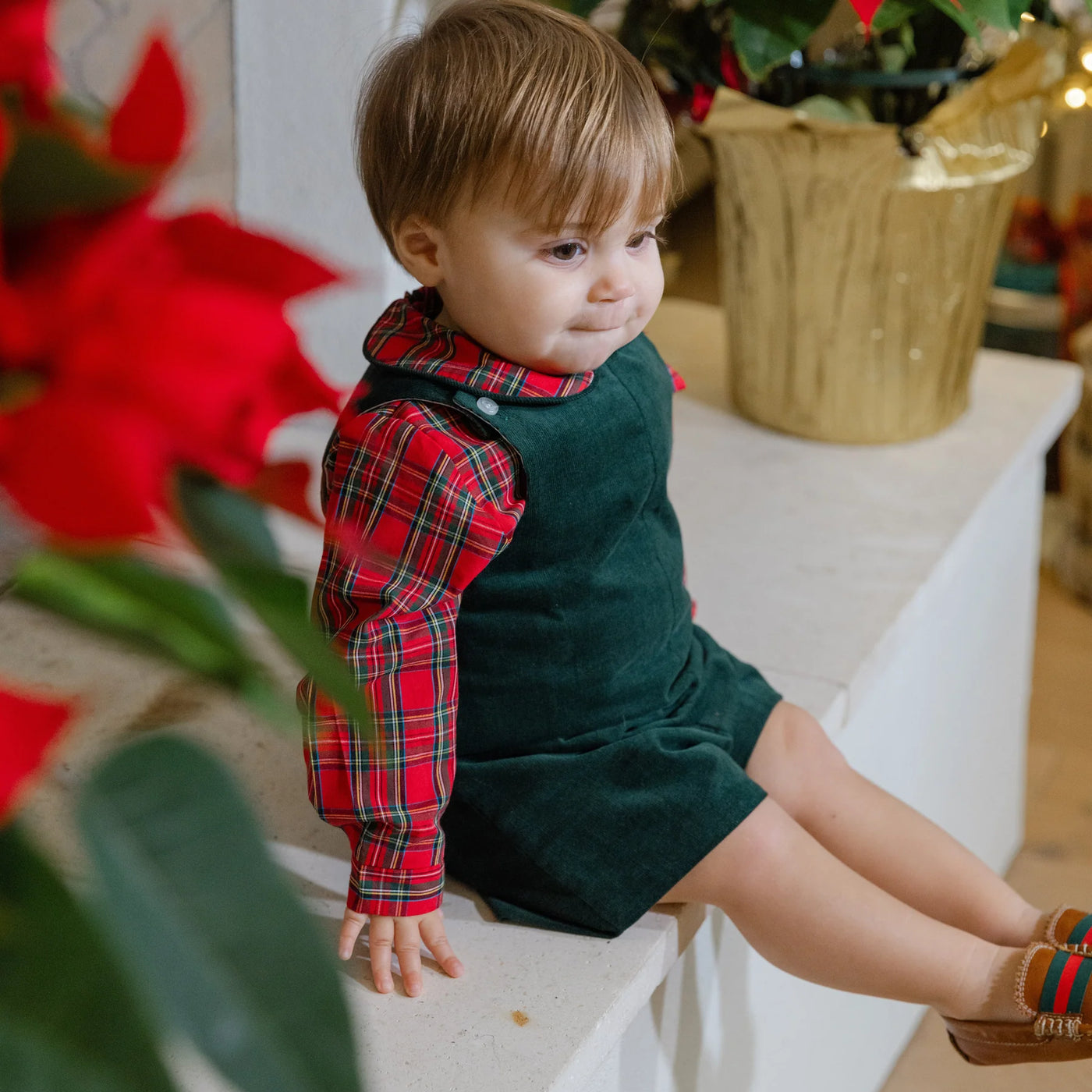 Short Tab Jon Jon - Forest Green Corduroy