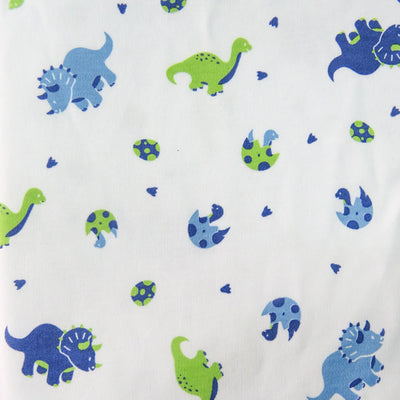 Dinosaur PJ Set