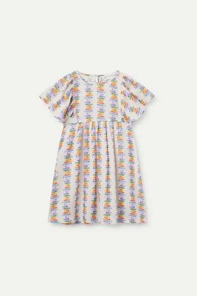 Rainbow Fish Dress