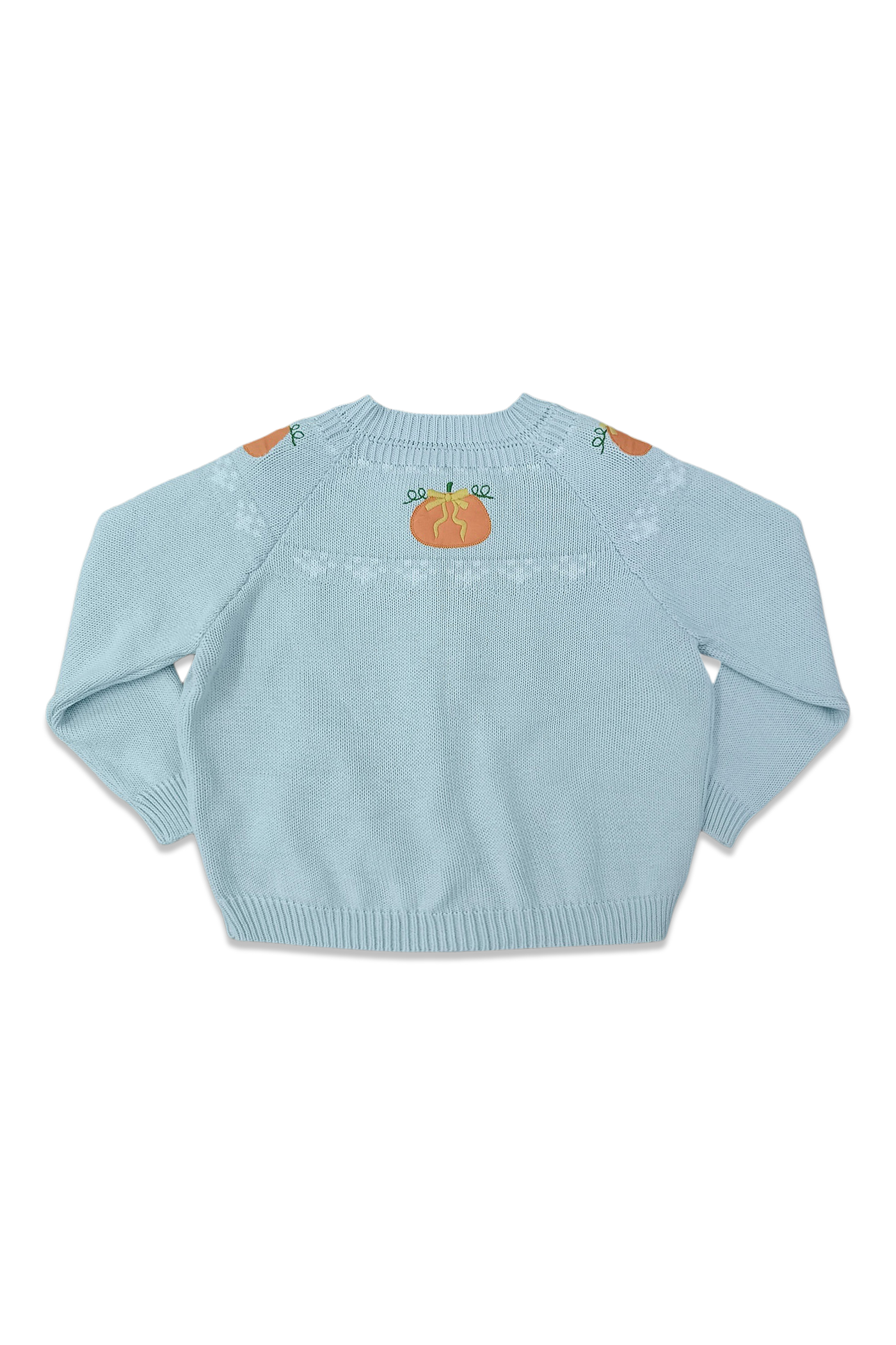 Fair Isle Sweater - Baby  Blue & Orange Pumpkin