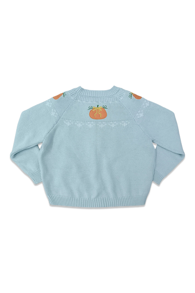 Fair Isle Sweater - Baby  Blue & Orange Pumpkin