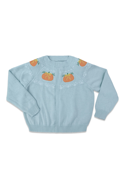 Fair Isle Sweater - Baby  Blue & Orange Pumpkin