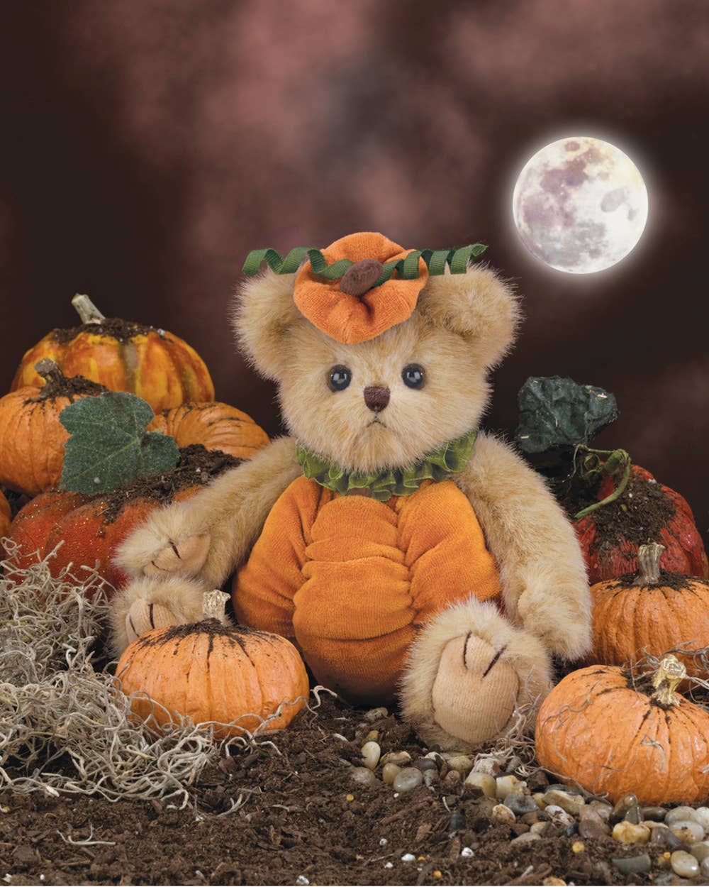 Izzy A. Pumpkin the  Halloween Pumpkin Bear