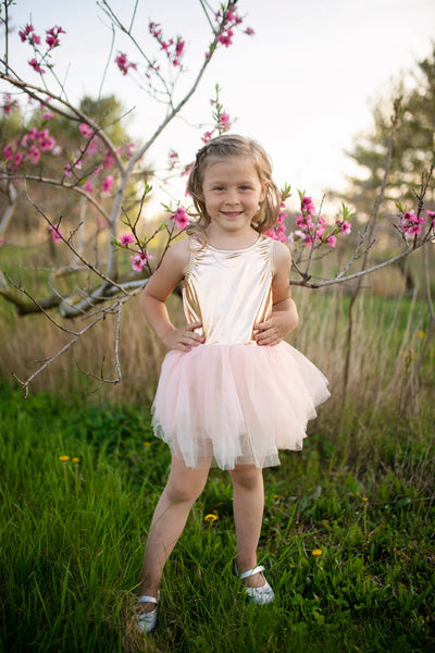 Ballet Tutu Lt Pink Dress