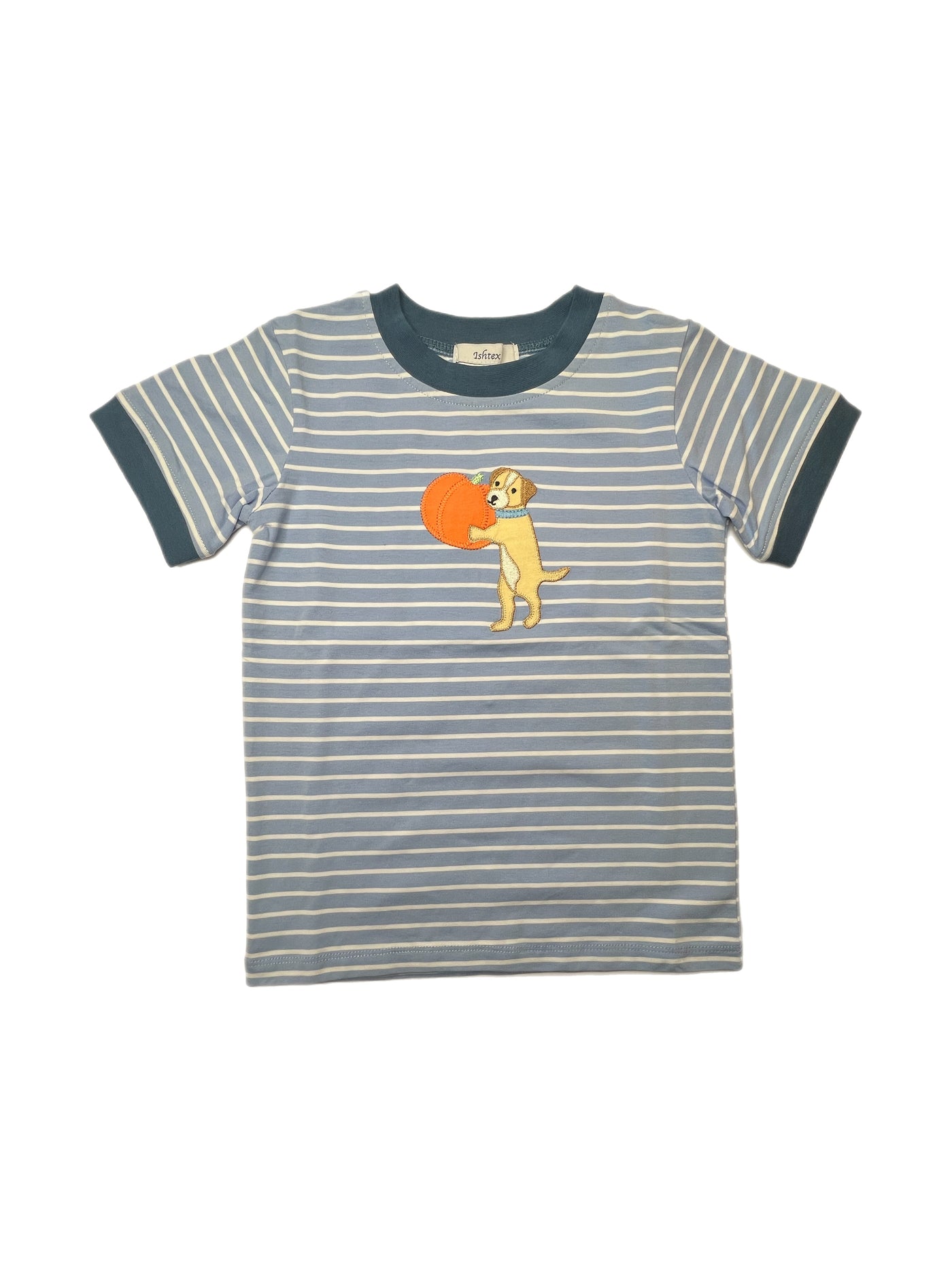 Ishtex Pumpkin Applique Boy Shirt