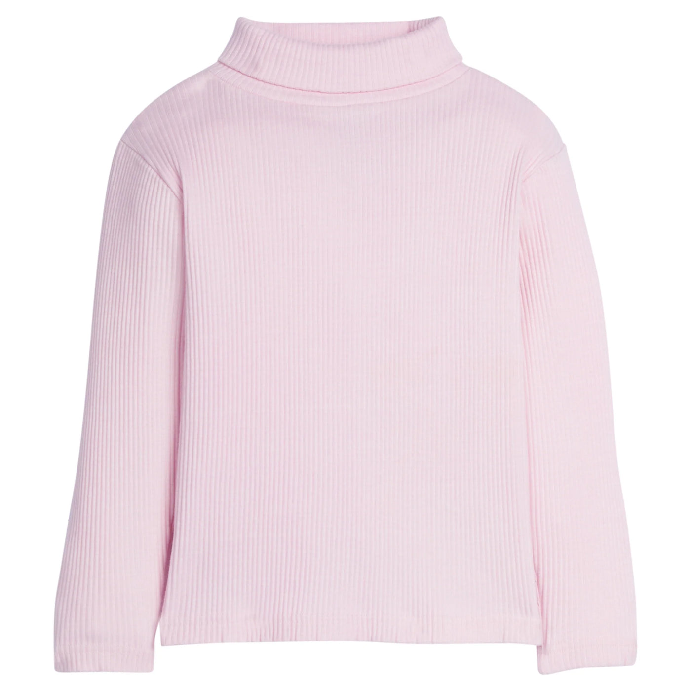 Bisby Ribbed Turtleneck