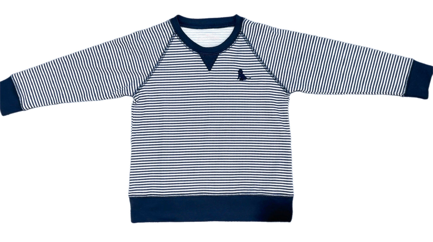 Boys Navy Stripe Sam Sweatshirt