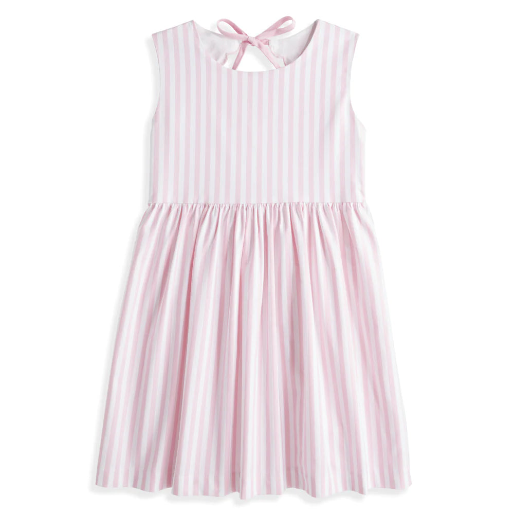 Pink Oxford Stripe Shelby Dress