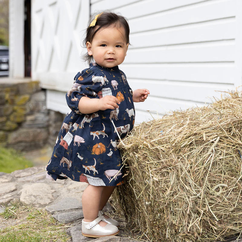 Pink Chicken Stevie Dress Set