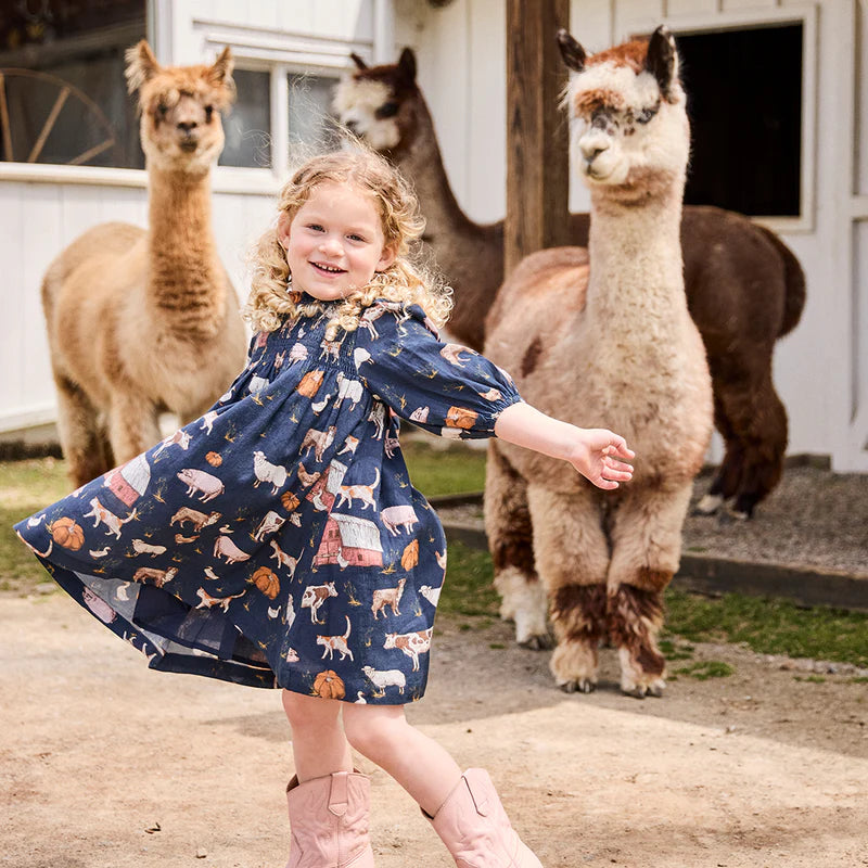 Pink Chicken Stevie Dress