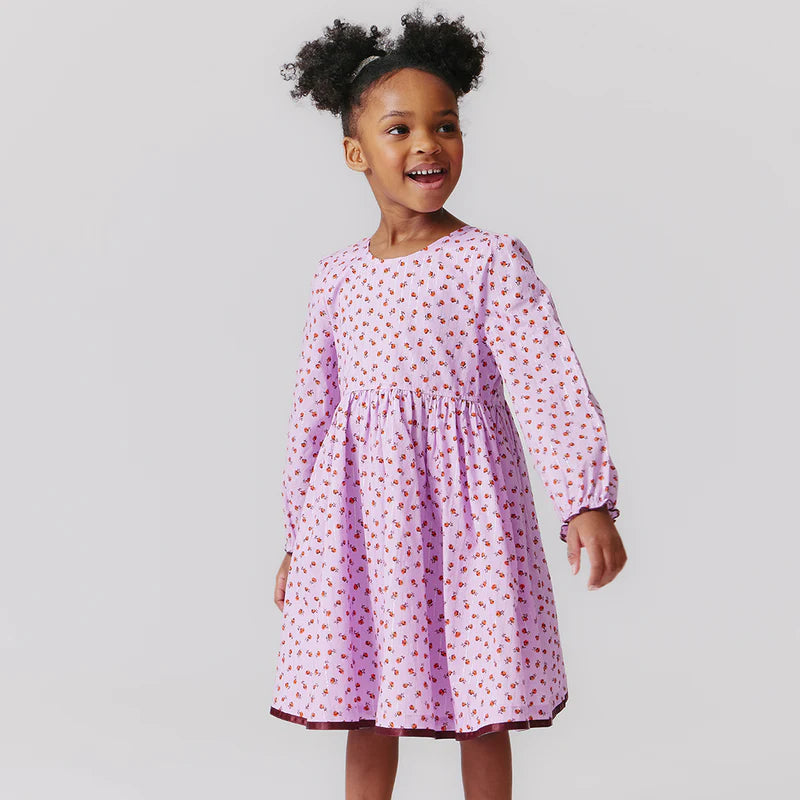 Pink Chicken Amma Dress