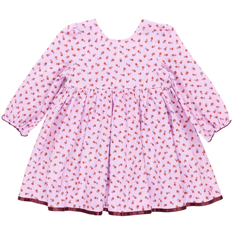 Pink Chicken Amma Dress